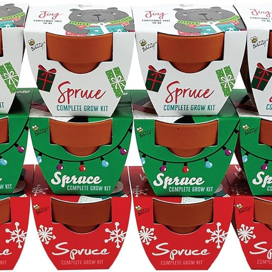 Buzzy Seeds Holiday Mini Terracotta Spruce Tree Grow Pot.0